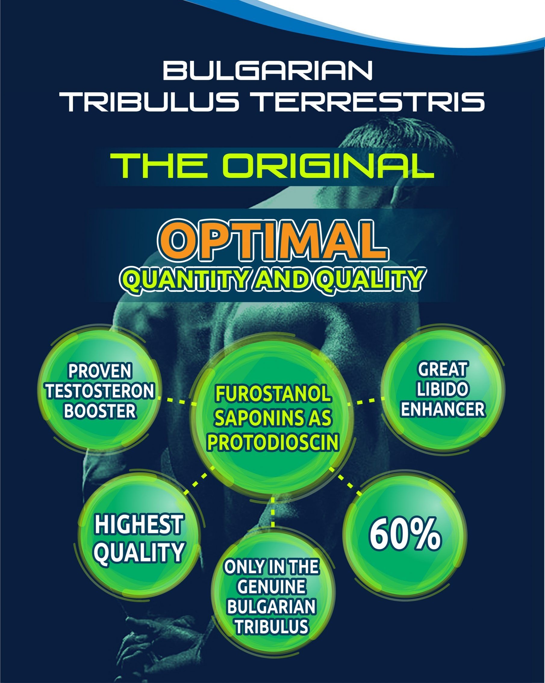 Tribestan Raw Powder Extract. 0.5 Kilo - Image 3